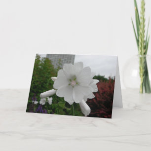 Hollyhock greeting card