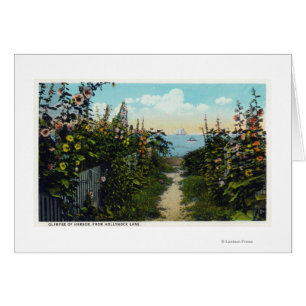 Hollyhock Lane View of the Harbour