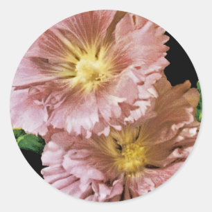 Hollyhock Vintage Seed Packet Classic Round Sticker