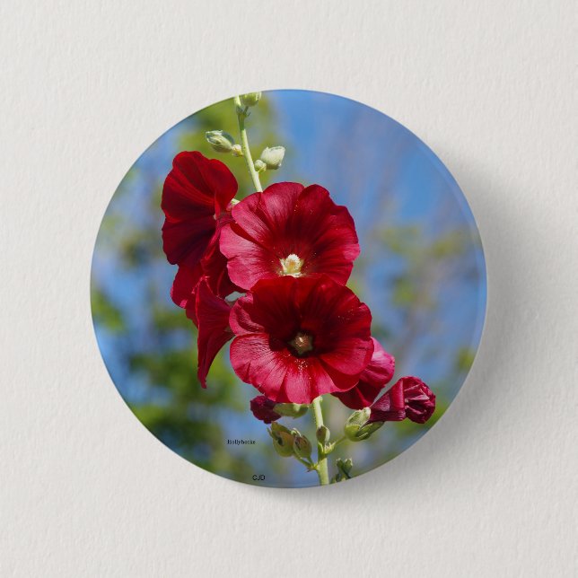 Hollyhocks button (Front)