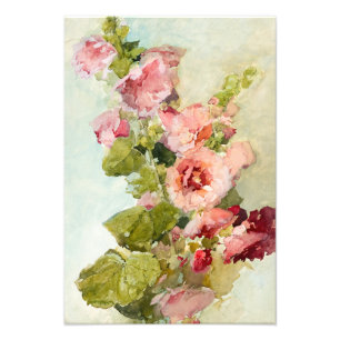 Hollyhocks by Franz Bischoff Photo Print