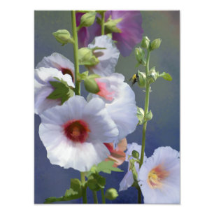 Hollyhocks - Digital Painting - Photo Enlargement