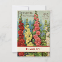 Hollyhocks Red Peach Yellow Cream 1902 Seed Packet