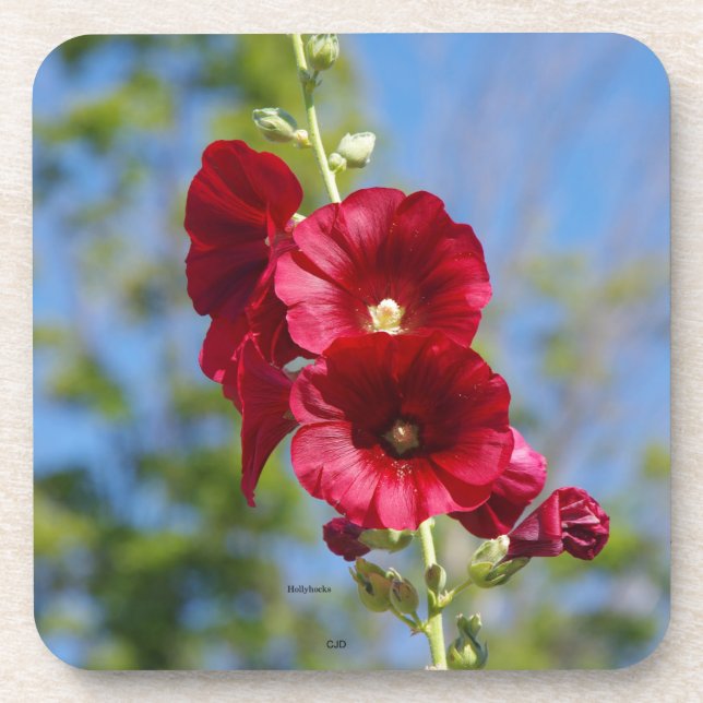 Hollyhocks set of 6 plastic coasters (Front)