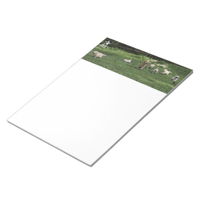 Holly's Half Dozen romp notepad (Angled)