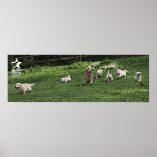 Holly's Half Dozen Romp Poster