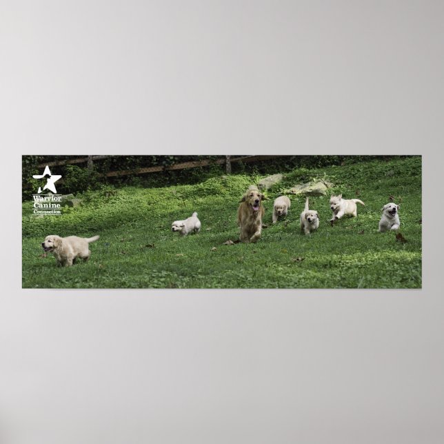 Holly's Half Dozen Romp Poster (Front)