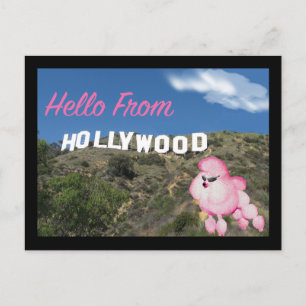 Hollywood California Retro Pink Poodle Postcard