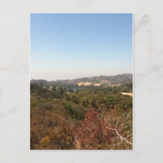hollywood landscape postcard