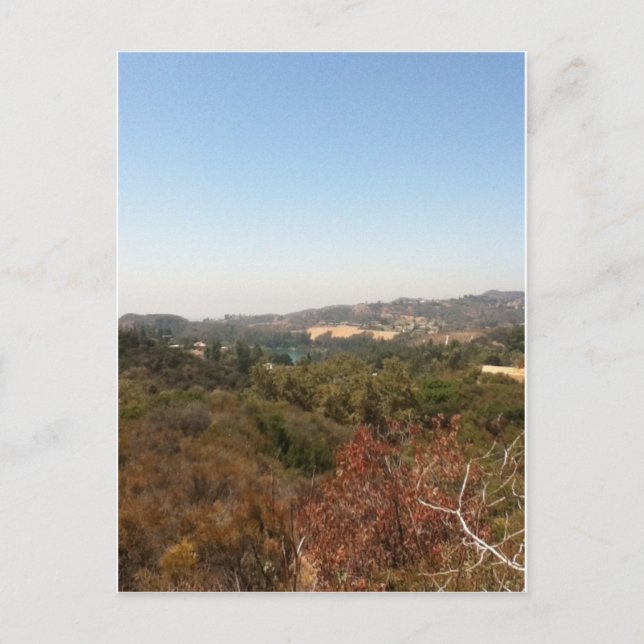 hollywood landscape postcard (Front)
