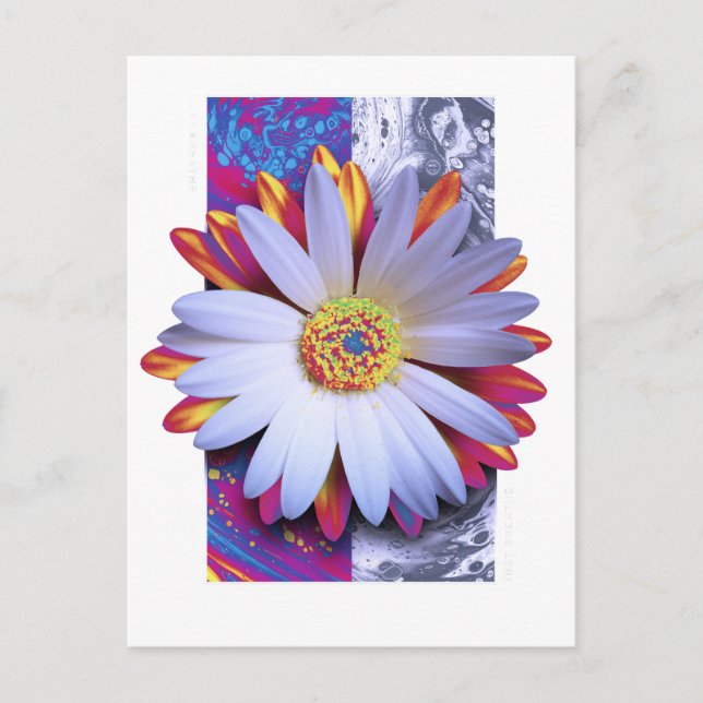 Holographic Flower Postcard (Front)