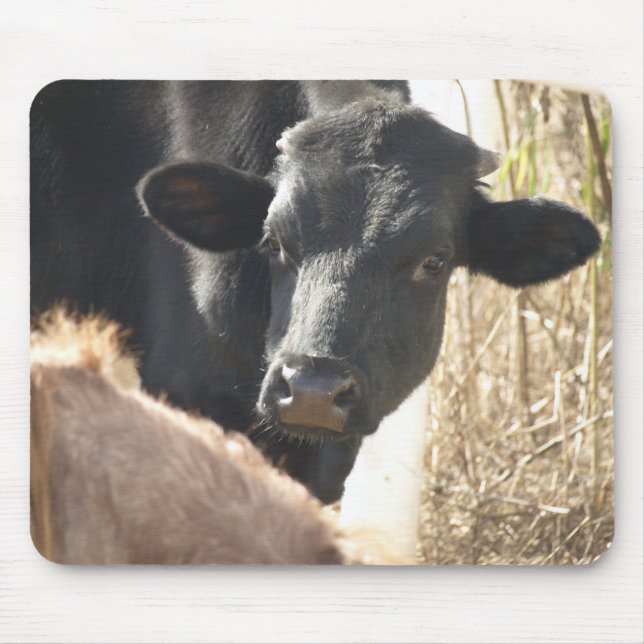 Holstein Bull Mousepad (Front)
