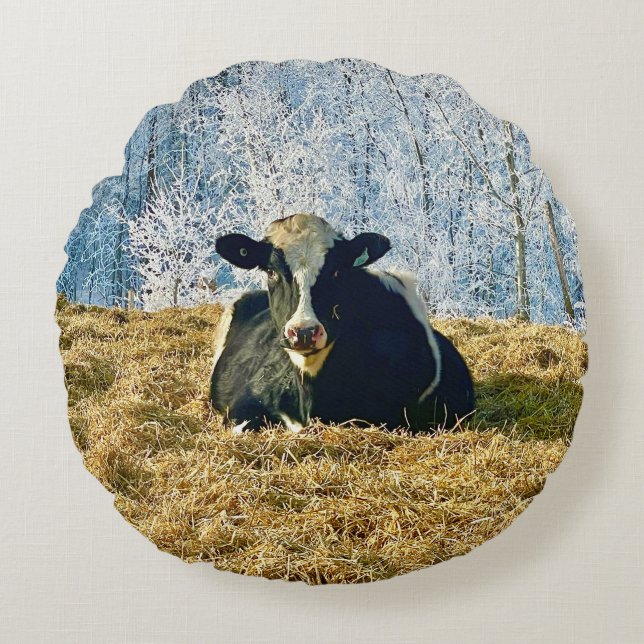 Holstein Calf on Frosty Alberta Morning Round Cushion (Front)