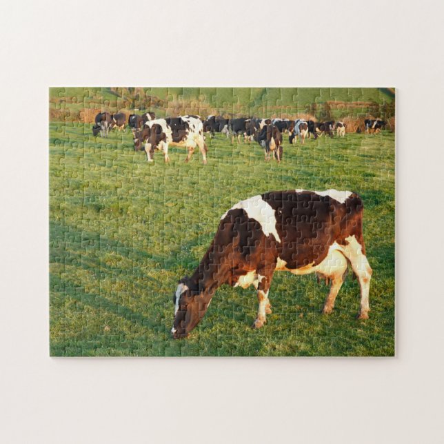 Holstein cattle jigsaw puzzle (Horizontal)