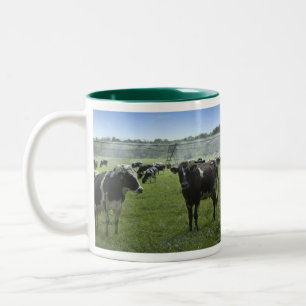 Holstein Cattle Mug