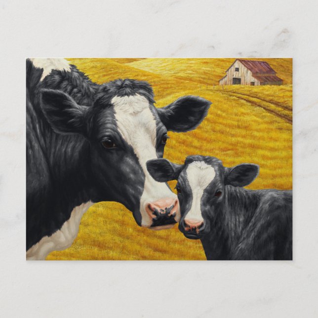 Holstein Cow and Calf with Old Wood Barn Postcard (Front)