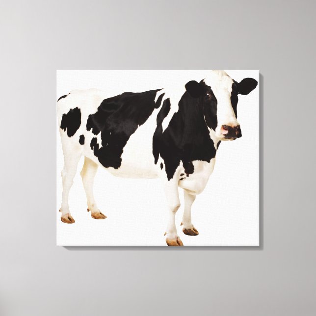 Holstein cow (Bos taurus) Canvas Print (Front)