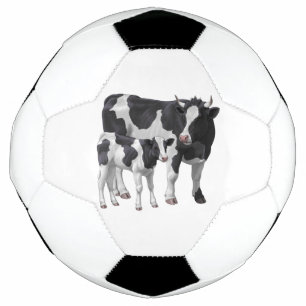 Holstein Cow & Cute Calf Football