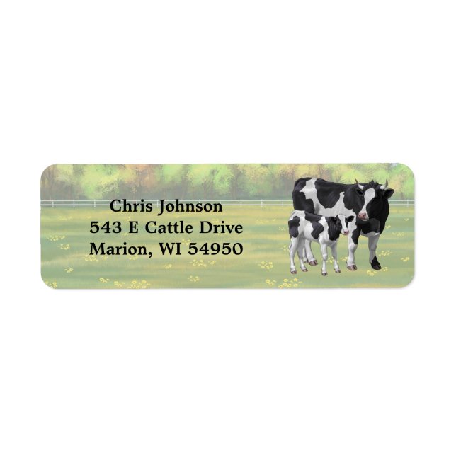 Holstein Cow & Cute Calf in Summer Pasture (Front)