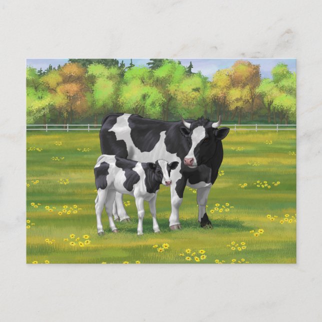 Holstein Cow & Cute Calf in Summer Pasture Postcard (Front)