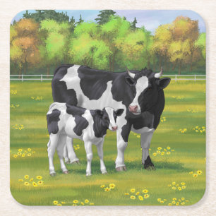 Holstein Cow & Cute Calf in Summer Pasture Square Paper Coaster