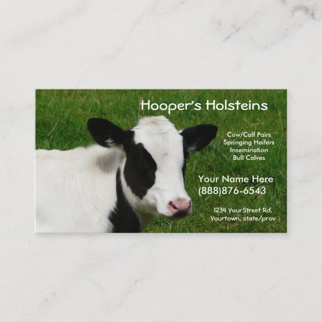 Holstein Cow Dairy Cattle Ranch Business Card (Front)