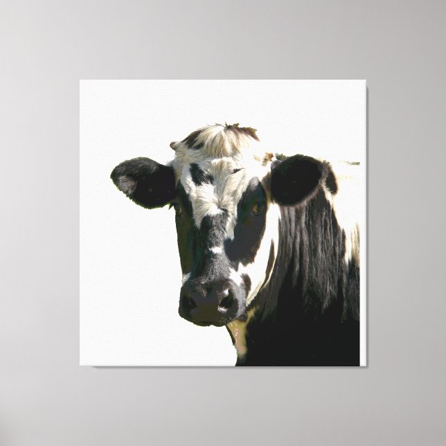 Holstein Cow Farm Animal Dairy Black & White Canvas Print (Front)
