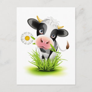Holstein cow in grass postcard