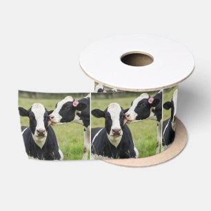Holstein Cow Kiss Satin Ribbon