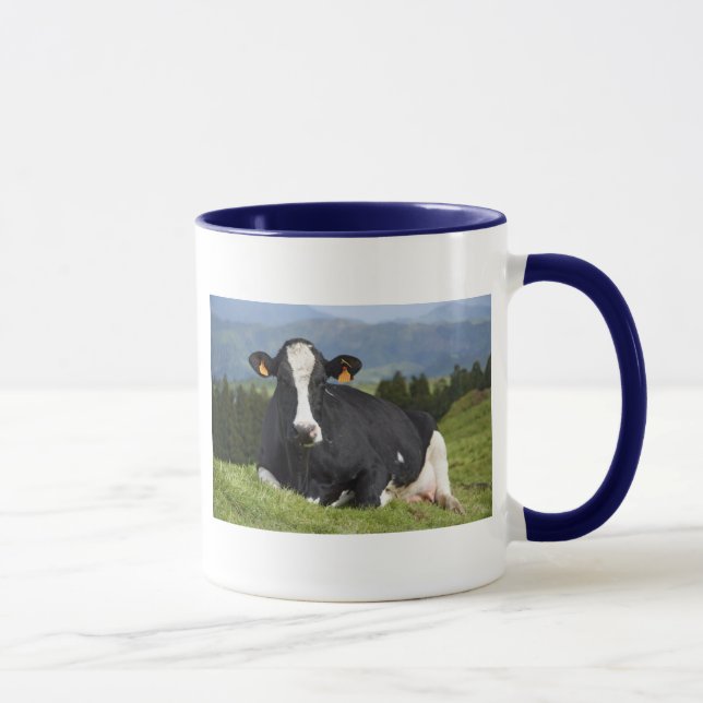 Holstein cow mug (Right)