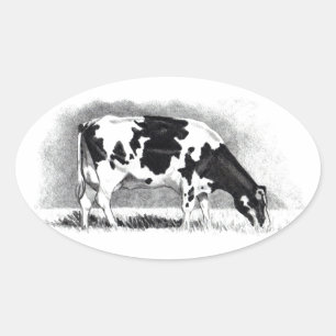 Holstein Cow: Pencil Drawing: Farm, Country Oval Sticker