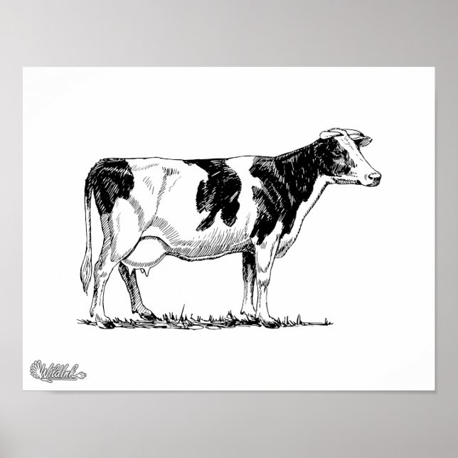Holstein Cow Poster (Front)