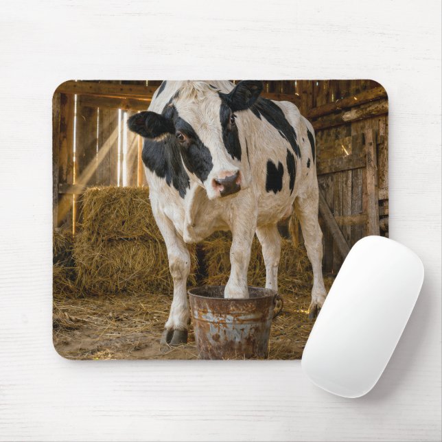 Holstein Cow Standing in a Rusty Bucket Mouse Mat (With Mouse)