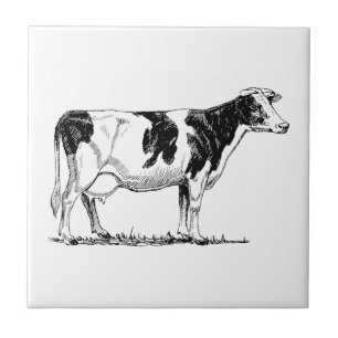 Holstein Cow Tile