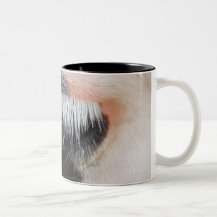 Holstein cow's face, close-up of eye Two-Tone coffee mug