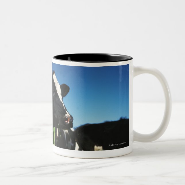Holstein cows in a field Two-Tone coffee mug (Right)