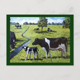HOLSTEIN COWS IN PASTURE: Hand Painted Art Postcard