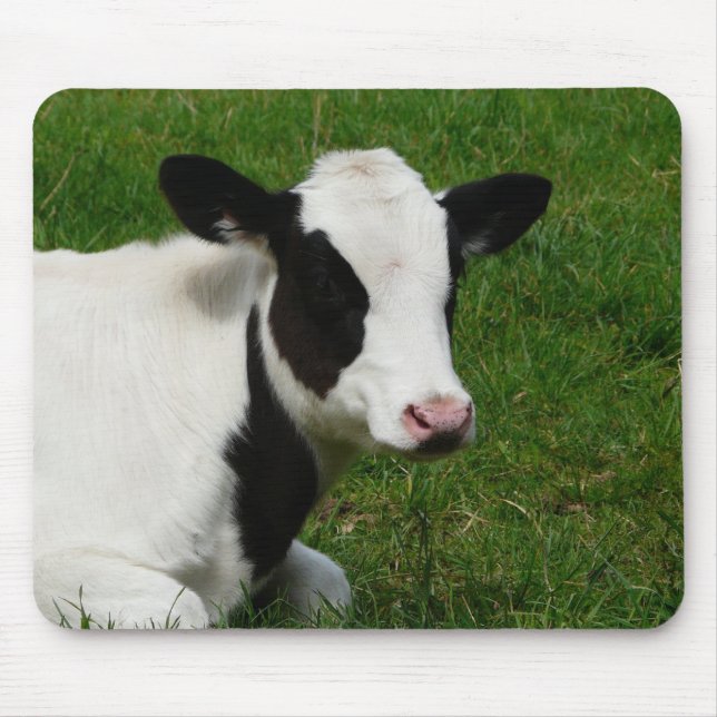 Holstein Dairy Milk Cow on Grass Mouse Mat (Front)