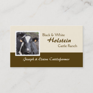 Holstein dairy or beef cattle photo business card