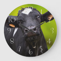 Holstein Fresian Cow