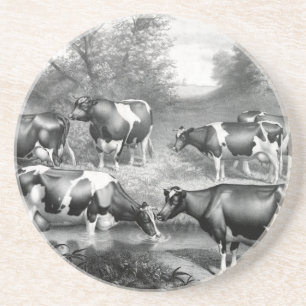 Holstein fresian cows fresian cows coaster