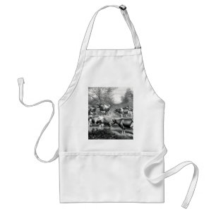 Holstein fresian cows fresian cows standard apron