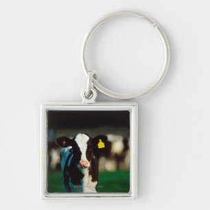 Holstein-Friesian calf Key Ring
