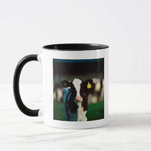 Holstein-Friesian calf Mug