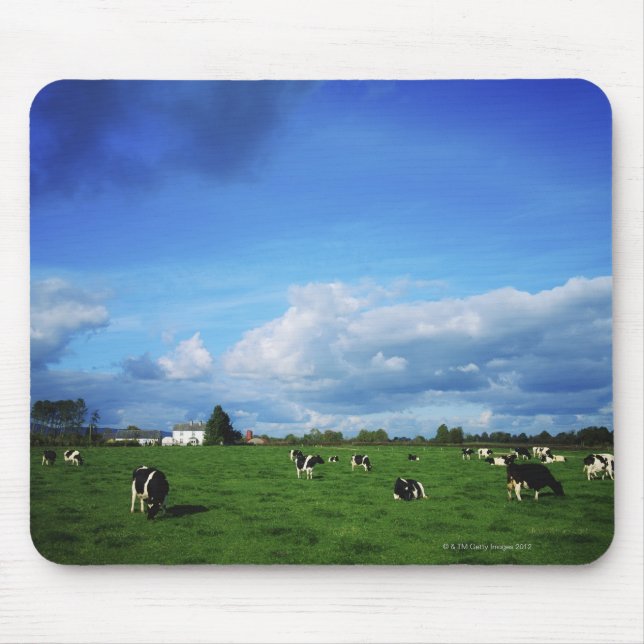 Holstein-Friesian Cattle near Thurles, Co Mouse Mat (Front)