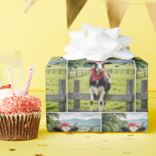 Holstein On a Farm Fence Wrapping Paper