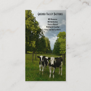 Holstein Veal Baby Beef Farm Business Card