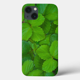 Holy Basil Tulsi Green Mint Leaves iPhone 13 Case