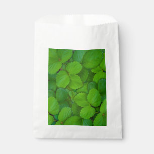 Holy Basil Tulsi Green Mint Leaves Favour Bags