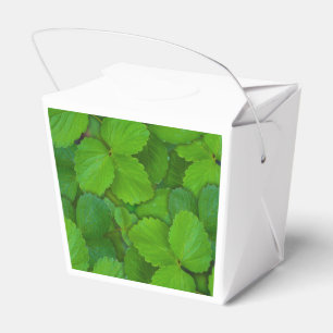 Holy Basil Tulsi Green Mint Leaves Favour Box